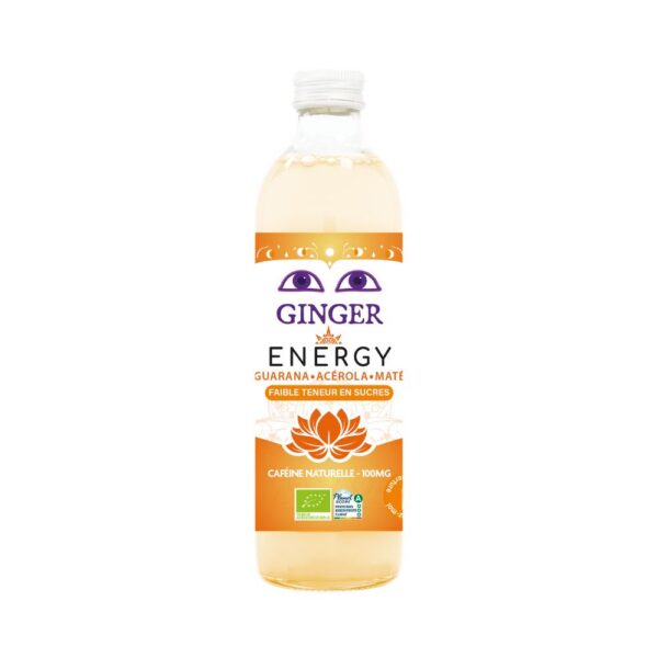 Piwo imbirowe Energy bezalkoholowe Fair for Life BIO 350 ml — Karma
