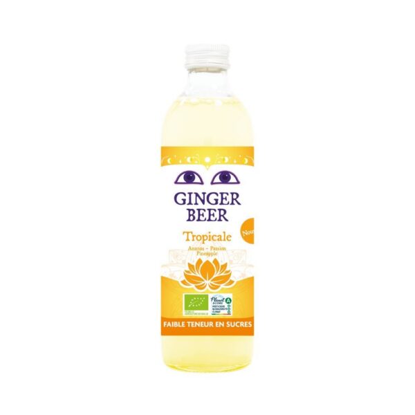 Piwo imbirowe o smaku owoców tropikalnych bezalkoholowe Fair for Life BIO 750 ml — Karma