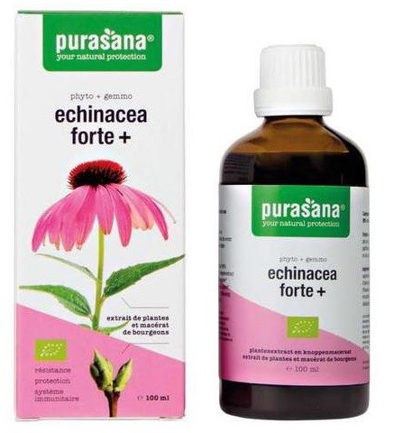 Jeżówka purpurowa (echinacea forte) krople BIO 100 ml — Purasana