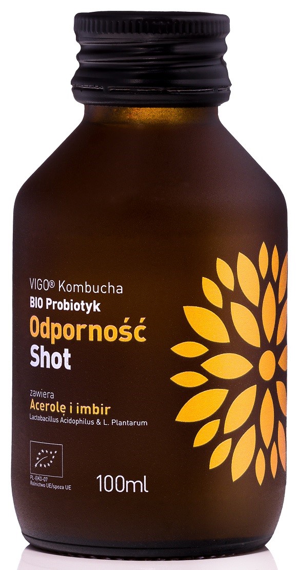 Shot kombucha z sokiem jabłkowym, acerolą i imbirem BIO 100 ml — Vigo