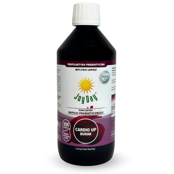 Koncentrat napoju fermentowanego burak i dzika róża bezglutenowy BIO 500 ml — Joy Day